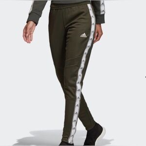 Adidas Women's Tiro 19 Team Green/olive Training Pants